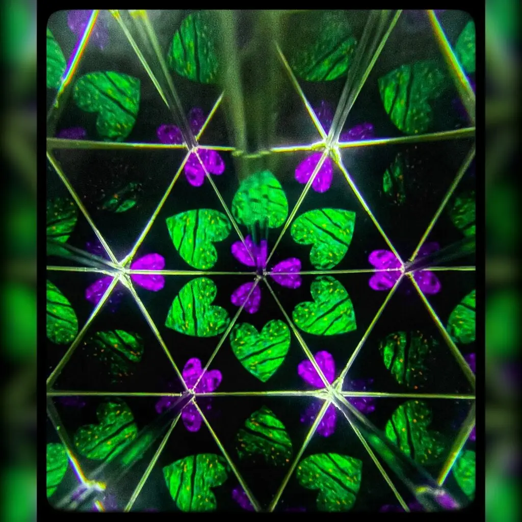 When Science Meets Art: 2nd Place in the 2024 Image Contest img 6708