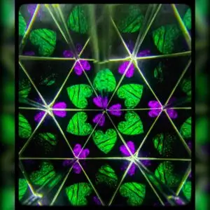 When Science Meets Art: 2nd Place in the 2024 Image Contest