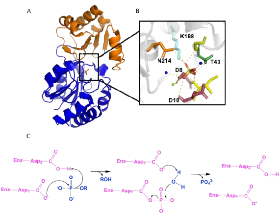 Portfolio picture 1 removebg preview