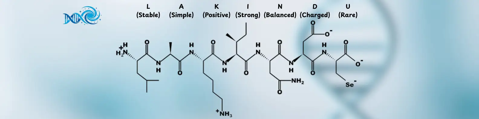 your paragraph text 2