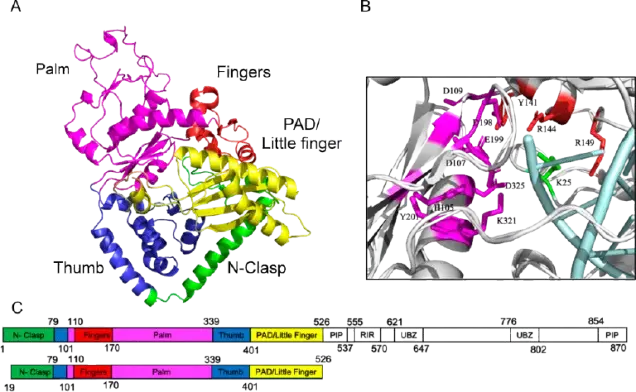 Portfolio images large tx3c00233 0001 1 removebg preview